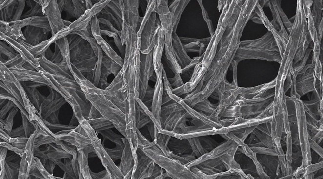 Cellulose fibers were found to help nanobatteries keep their structure